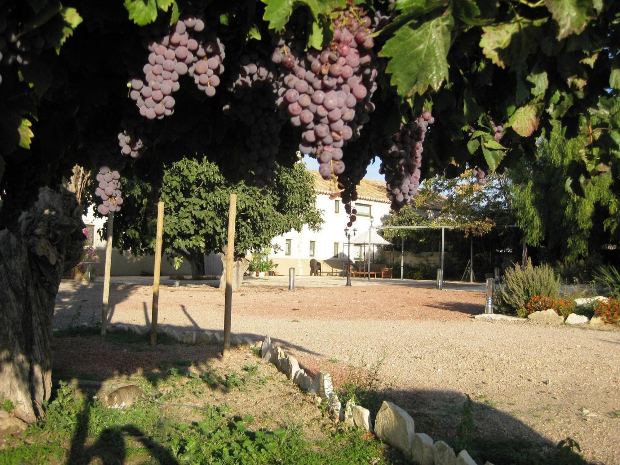 Hotel Jardines De Casablanca Caravaca De La Cruz Exterior foto